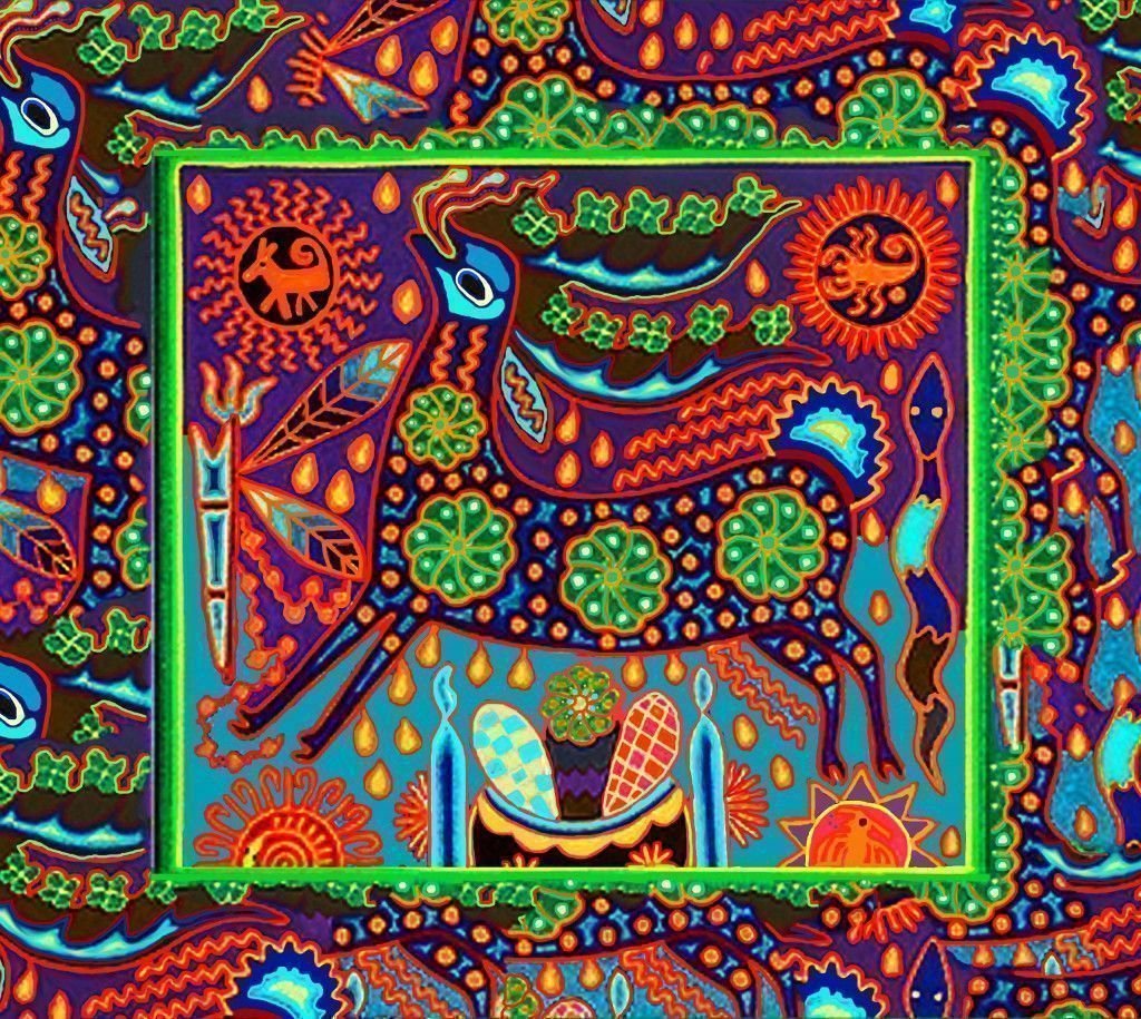 El mito del peyote. Parte II: Realidad
