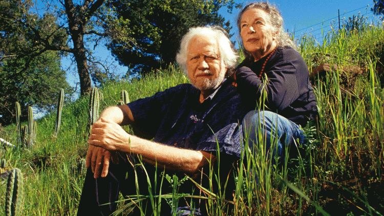 shulgin