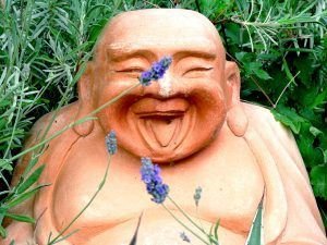 Mr Buda riéndose de nosotros