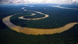 Cáncer rige a los ríos. Vista aérea del Amazonas.