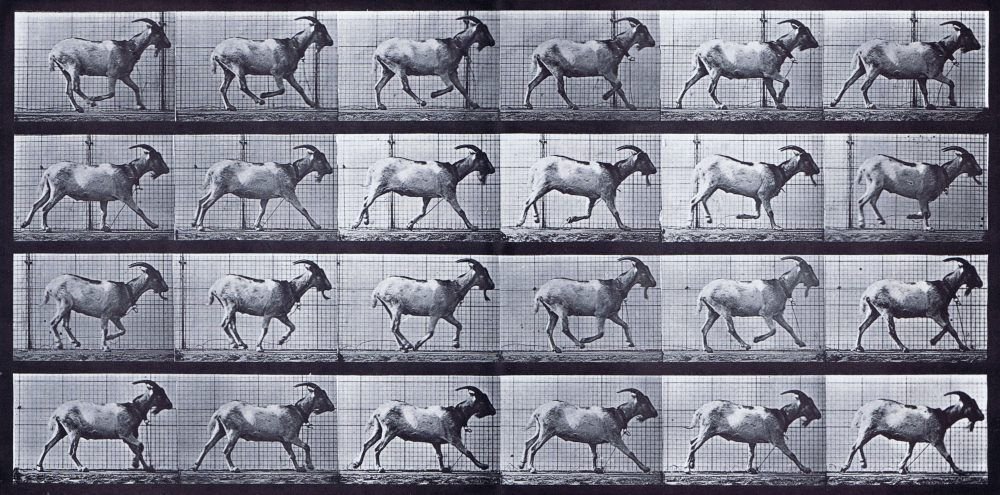 Mercurio en Aries. Un retrógrado del 2018