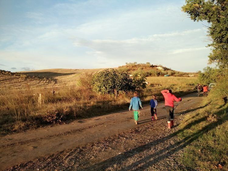 Agroecologiando  o cómo poner la vida en el centro