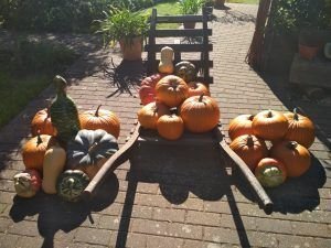 Predicciones astrológicas para octubre 2019