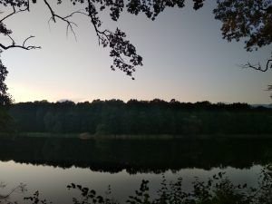 Grünewald, Berlín y el novilunio en Escorpio
