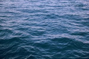 Piscis y el mar y la disolución