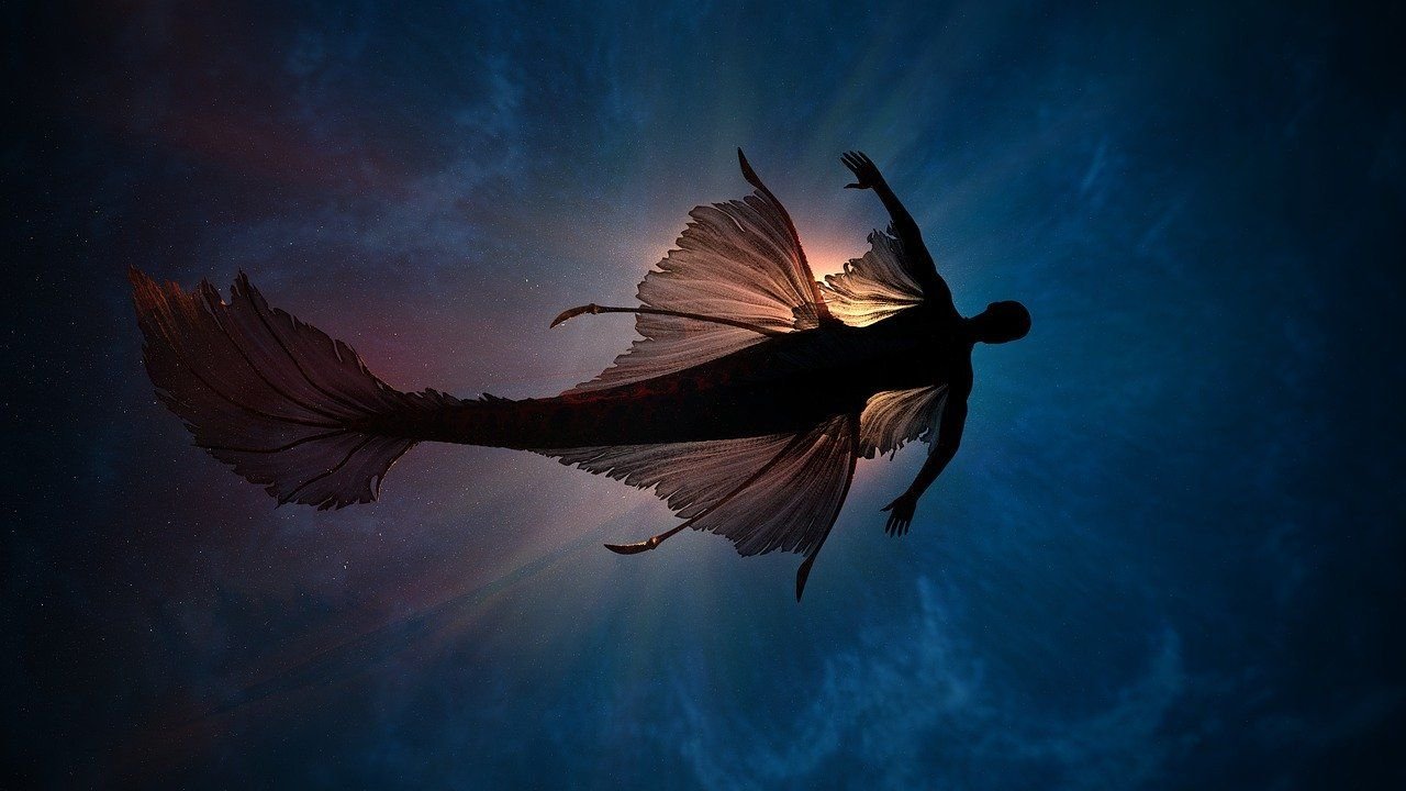 underwater-4731696_1280