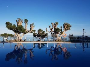 Novilunio en Cáncer. El siguiente cangrejero y en una zona caliente del cosmos.
