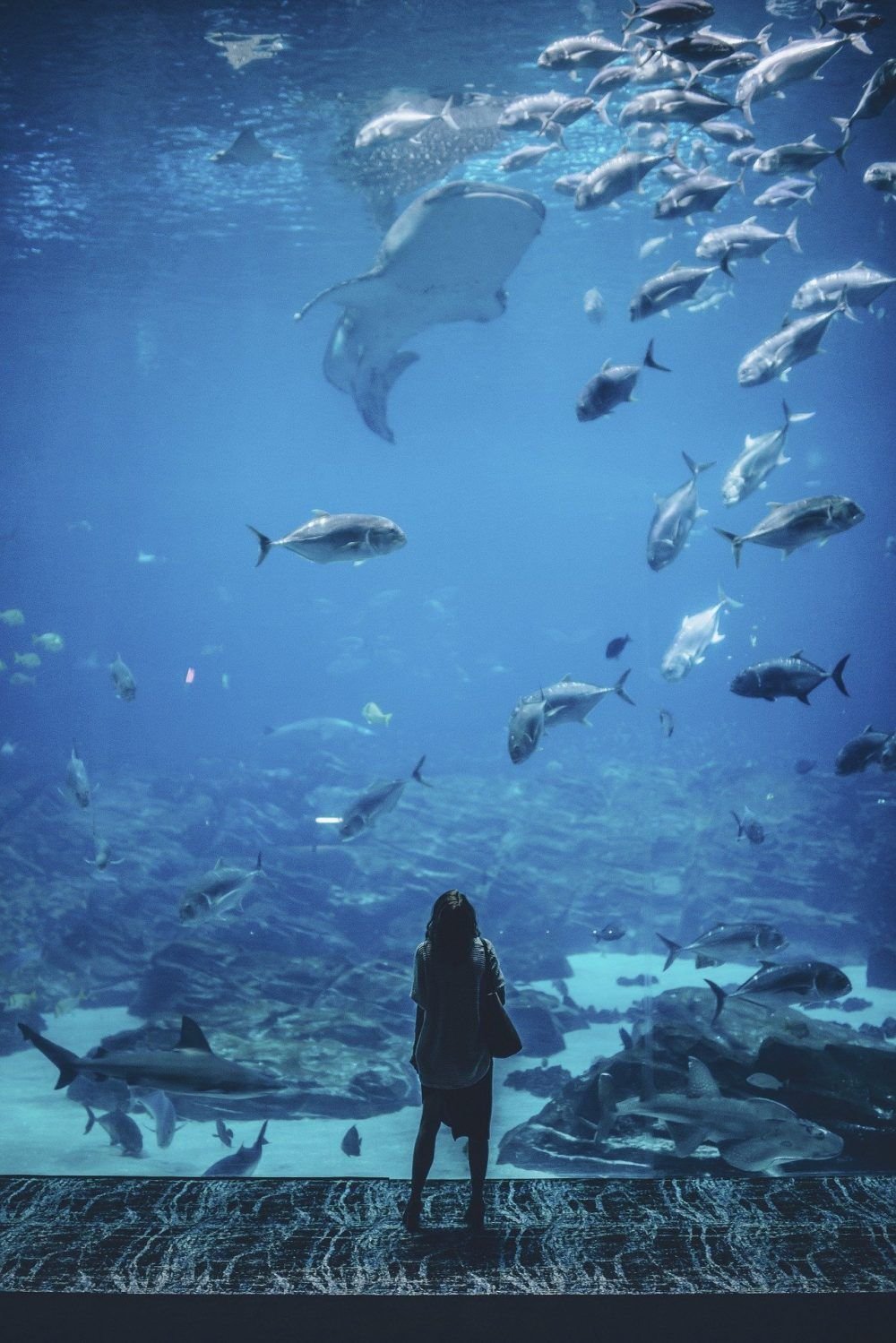 No todos los Acuario vivirán este tránsito de Júpiter de la misma manera. La importancia de los grados. 