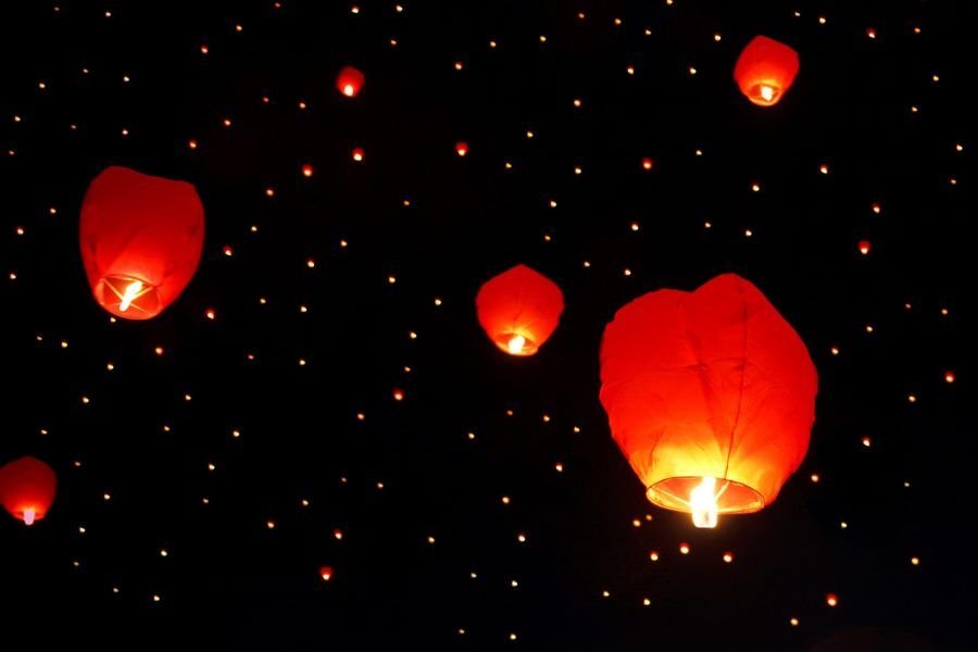 Luces, viajes, Sagi. Flora y fauna.