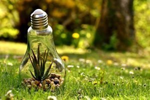 Ecológico y alternativo como el Cosmos.