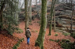 Un baño en el bosque para este Marte en Géminis que despierta.