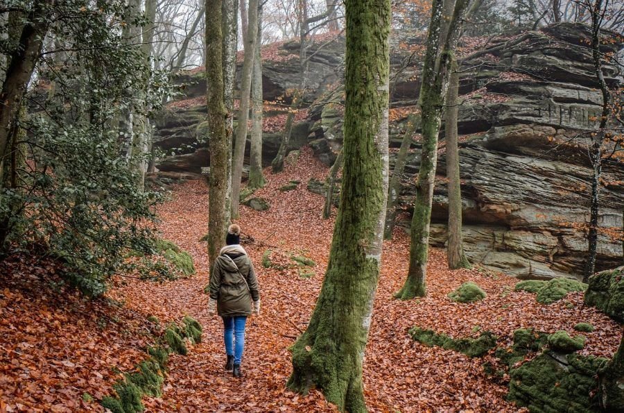 Un baño en el bosque para este Marte en Géminis que despierta.