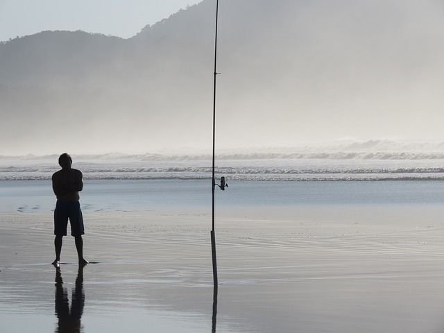 Piscis y un pescador en la costa del estado de Sao Paulo, cerca de Paraty. Piscis y un pescador en la costa del estado de Sao Paulo, cerca de Paraty.