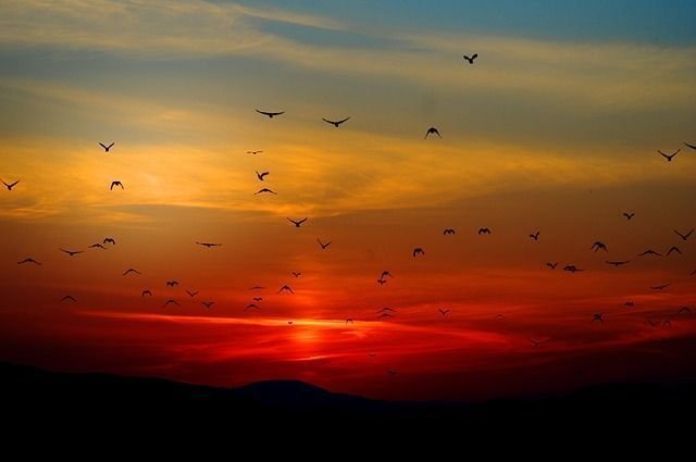 Las profecciones y las Revoluciones Solares. Las profecciones y las Revoluciones Solares.