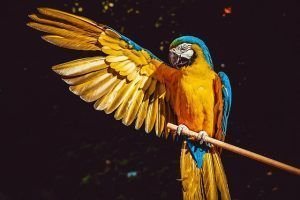 Colores alegres para Venus... aunque en Virgo estos no tanto.