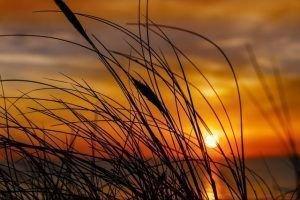 El Sol invicto. Capricornio y su temporada.