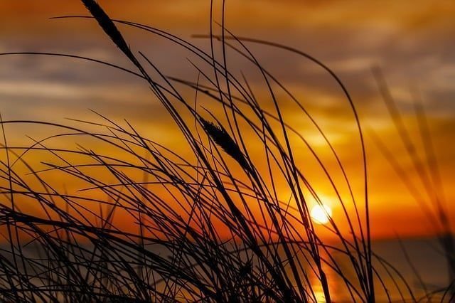 El Sol invicto. Capricornio y su temporada.