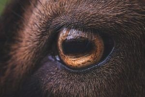 Semana del eclipse. Del primero —que siempre vienen de dos en dos. Y semana muy discreta en lo que se refiere en aspectos. 
