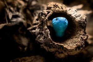 Géminis y sus contactos con Acuario y Plutón. Imagen de Three-shots en Pixabay