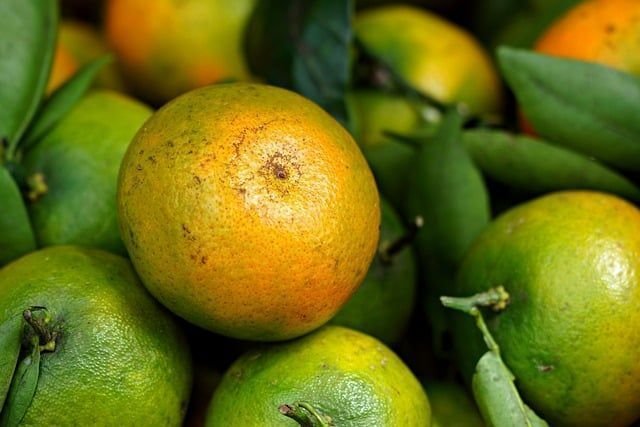 Ya empezamos con los jaleíllos de agosto, ¿no? Vamos, que tenemos ya las primeras tensiones del mes per-feo-cio-nan-do-se: la cuadratura entre Marte y Júpiter en Géminis y Saturno en Piscis y el Mercurio u-ra-ni-za-do en Leo.