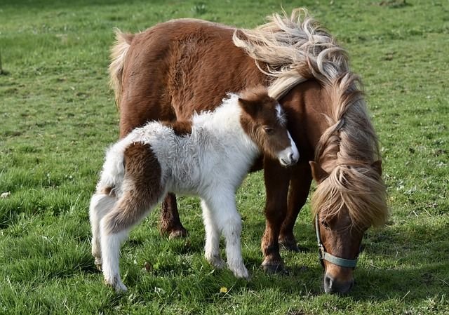 Qué bonito Venus en Sagitario después de la Luna Llena en Aries. Qué bonito Venus en Sagitario después de la Luna Llena en Aries.